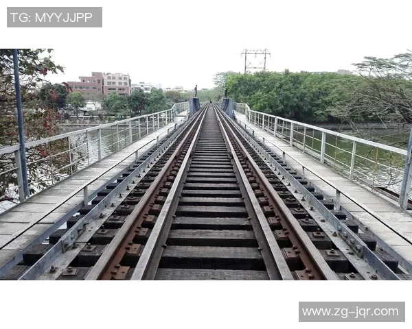 广州篮球队的奋斗历程与荣耀追寻全景纪实